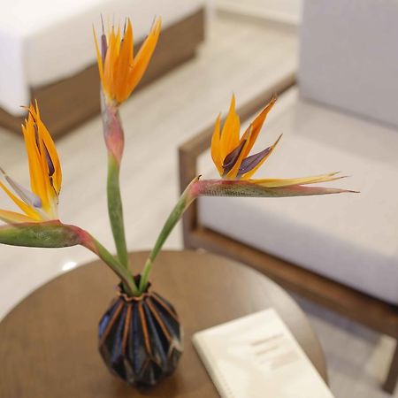 Terrace Villa Хой Ан Екстериор снимка